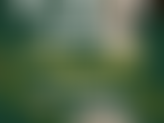 真人百家樂怎麼玩？玩法技巧 × 下注建議 × 風險控管｜大老爺娛樂城 懶人包