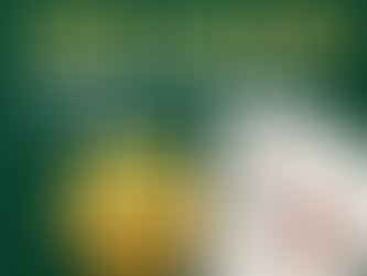 大老爺娛樂城 百家樂和局下注策略說明圖，強調高賠率與避險操作情境示意